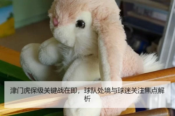 津门虎保级关键战在即，球队处境与球迷关注焦点解析 | LEYU SPORTS